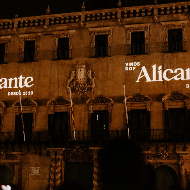 VINOS ALICANTE_evento Ayto_noche-8953