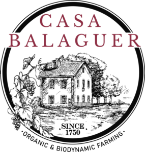 LOGO-FONDO-TRANSPARENTE-BALAGUER-1-min-285x300